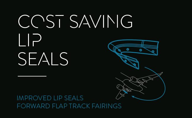 FACC Leap Seals