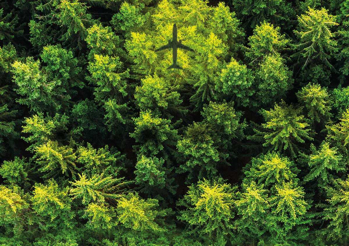 Green Flying