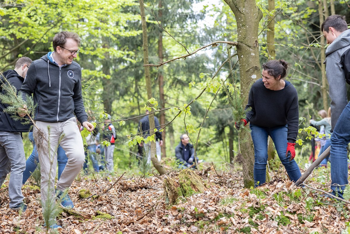 FACC employees set example for sustainability